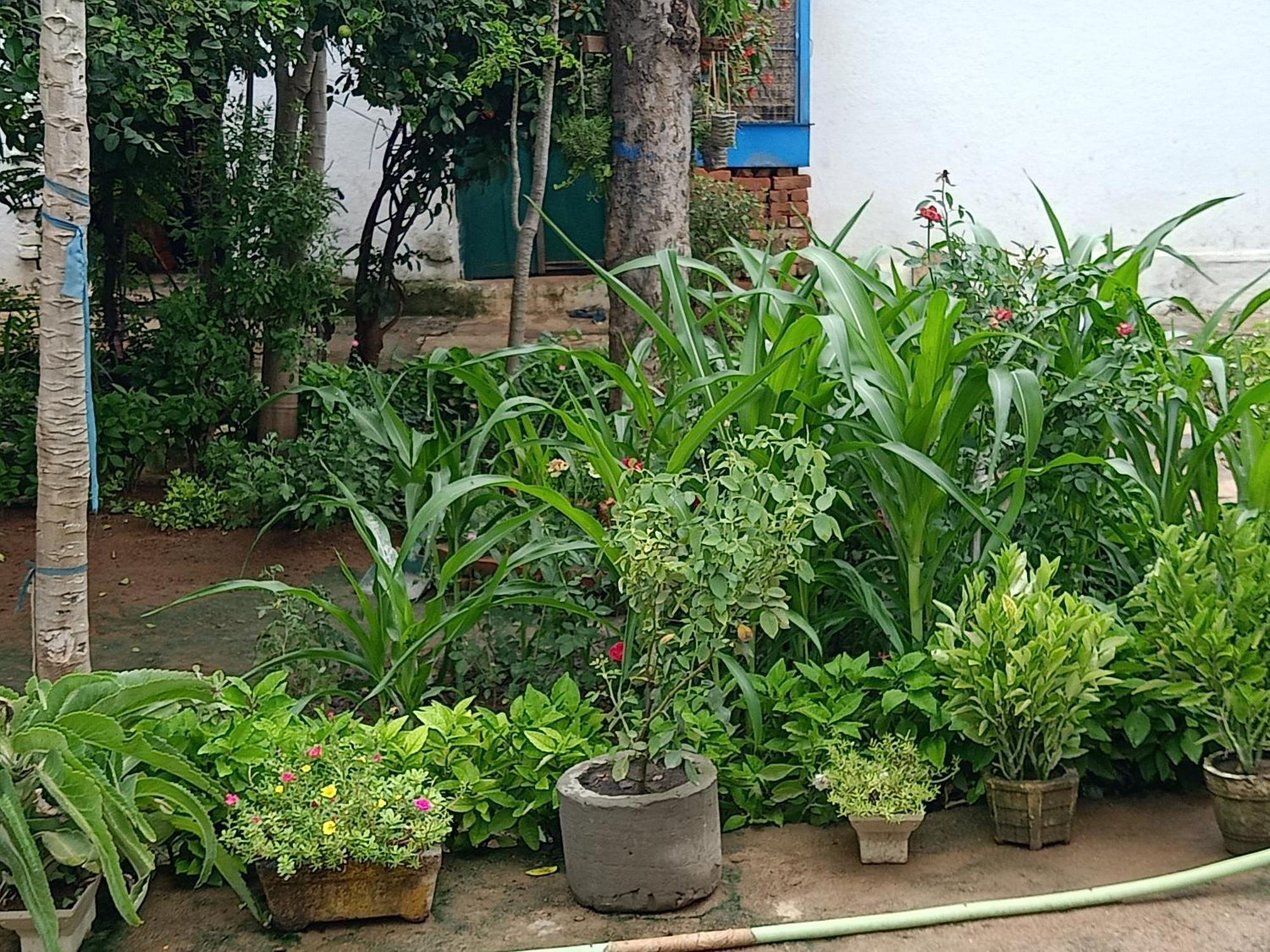 Apartmán Khajuraho Rancho Exteriér fotografie