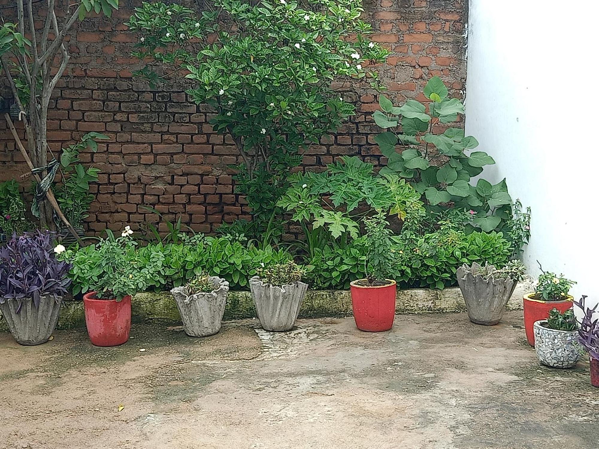 Apartmán Khajuraho Rancho Exteriér fotografie