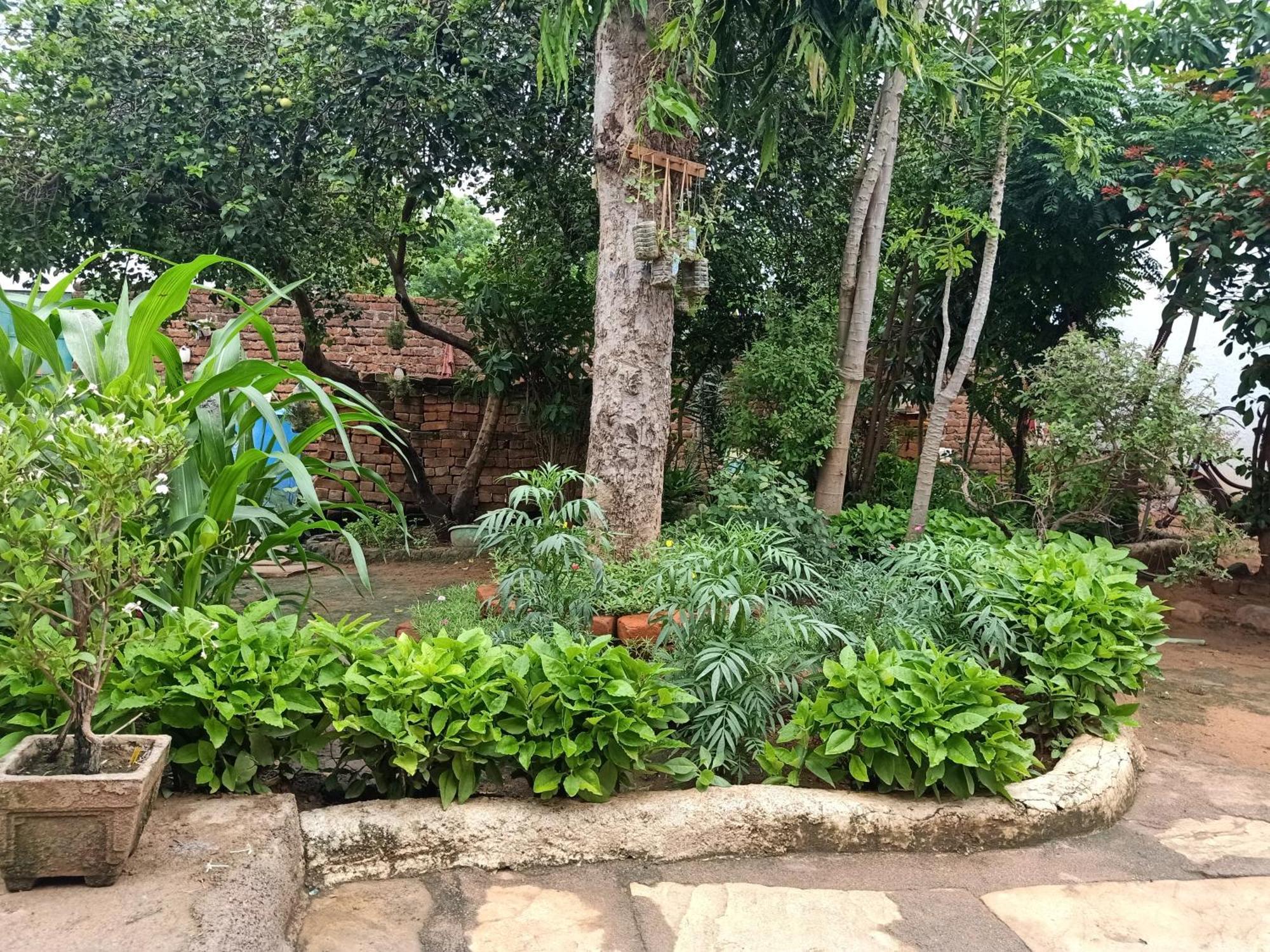 Apartmán Khajuraho Rancho Exteriér fotografie