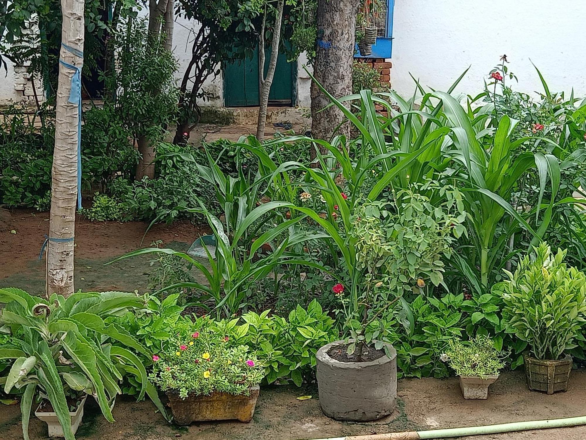 Apartmán Khajuraho Rancho Exteriér fotografie