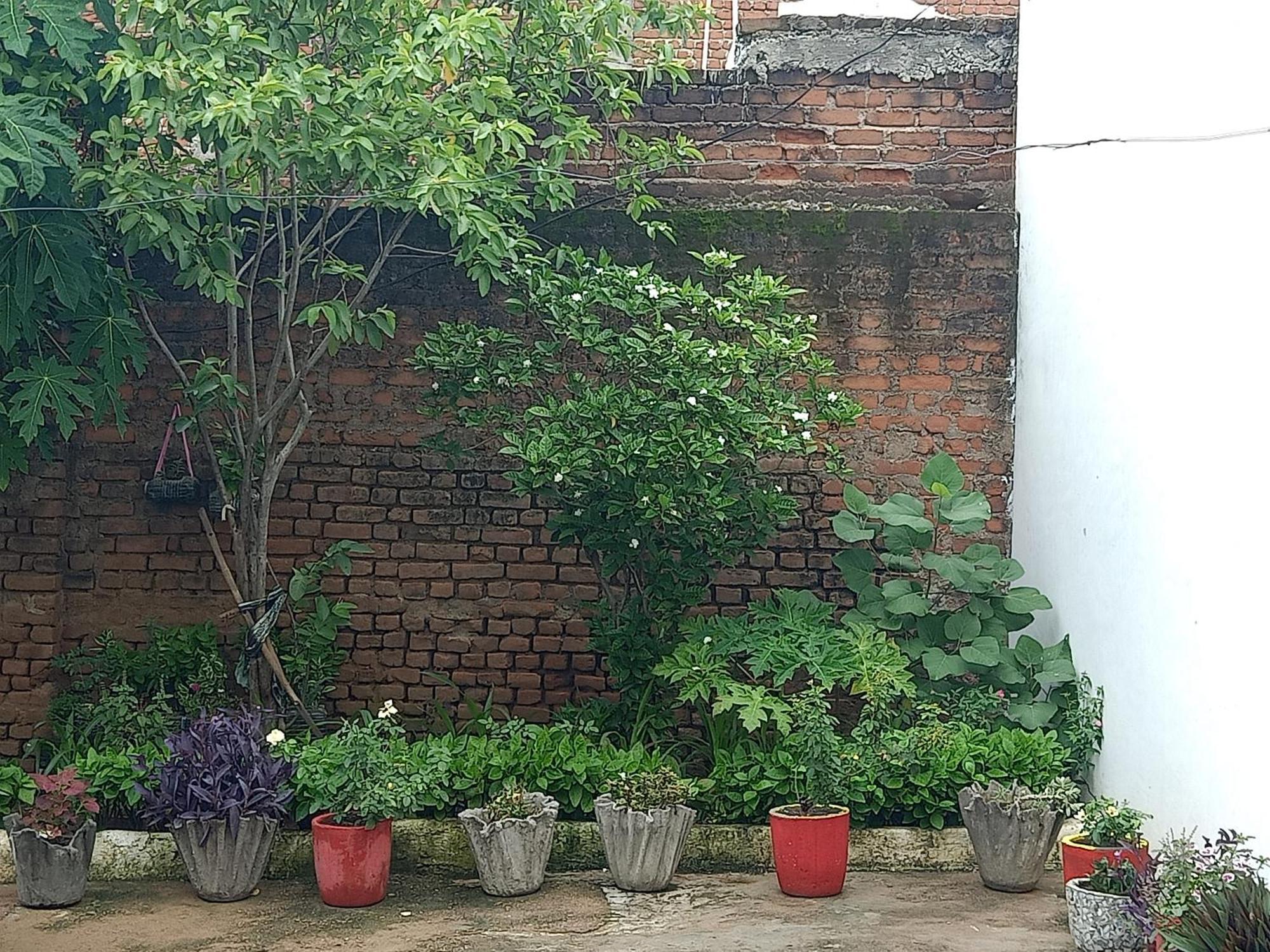 Apartmán Khajuraho Rancho Exteriér fotografie